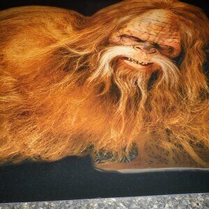 Sasquatch Big Foot with Racoon--- Canvas Print--NEW--58 x 19-- CUTE!!!